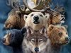Animal Spirits, Bubbles, Mania's and Market Peaks. Daniel Mankani