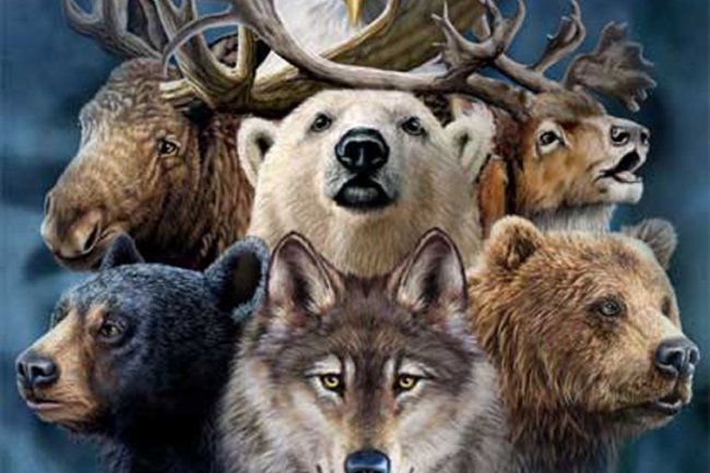 Animal Spirits, Bubbles, Mania's and Market Peaks. Daniel Mankani