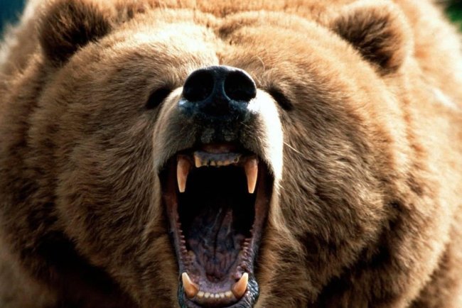 The Market Is Not A Casino! - Daniel Mankani